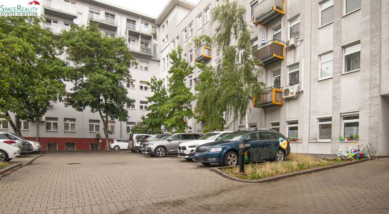 rast13.jpg